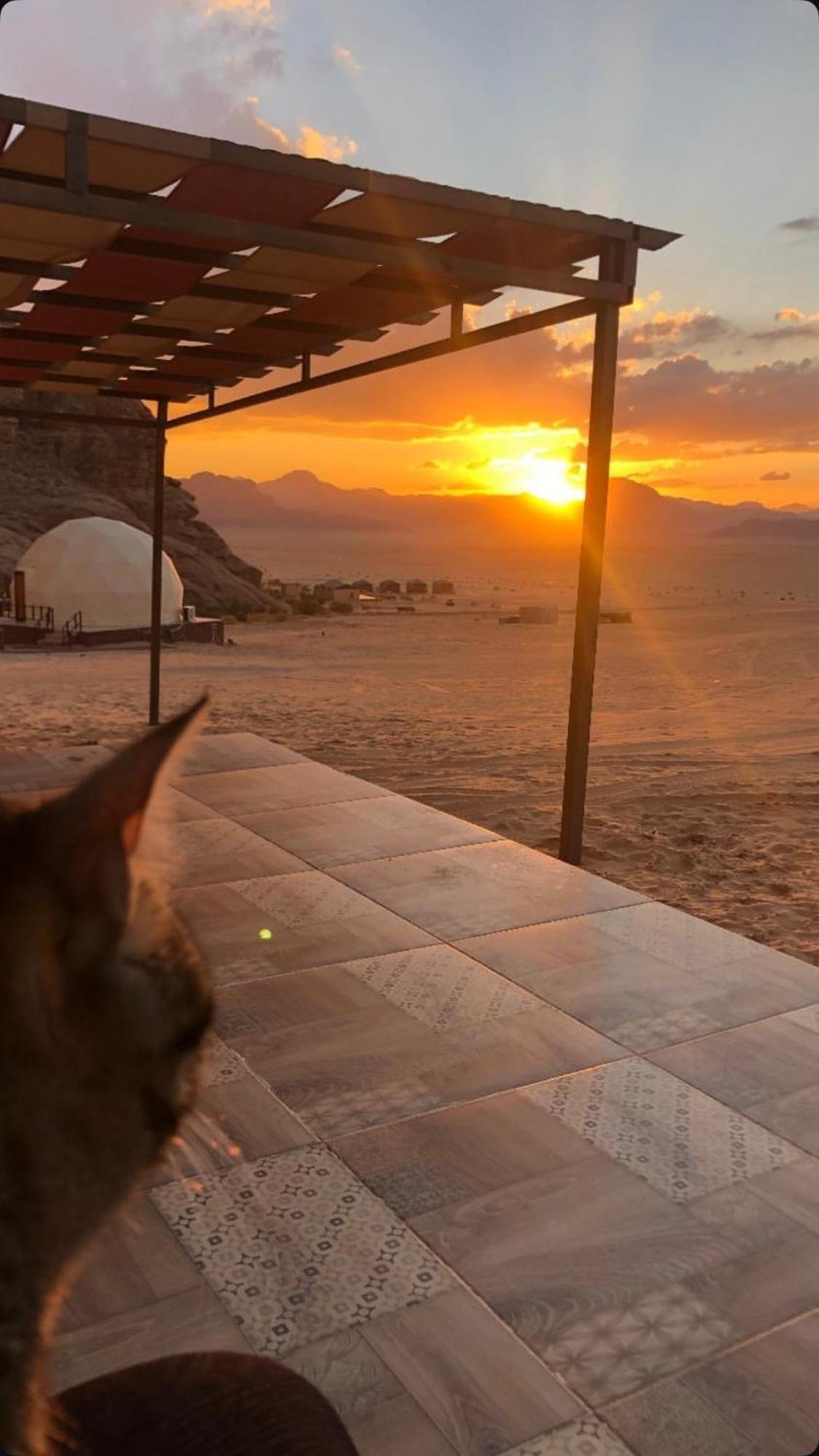 Wadi Rum Mars Camp Extérieur photo